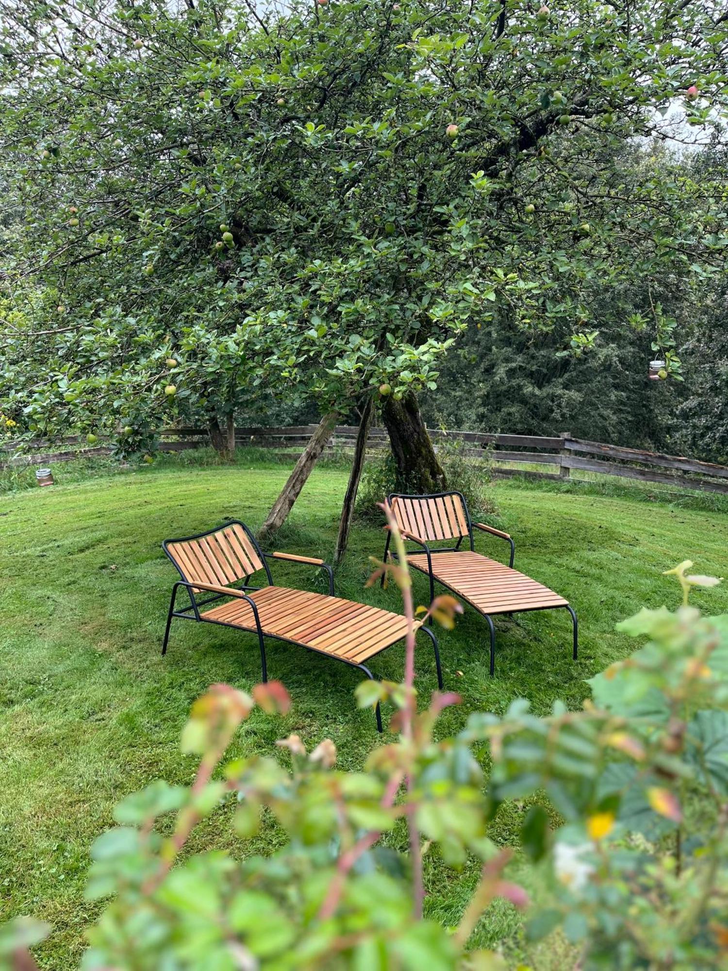 Villa Fachwerkhaus Am Waldesrand Solingen Esterno foto